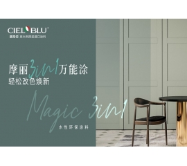 CIELOBLU | 摩麗3IN1萬能涂 ，輕松改色換新